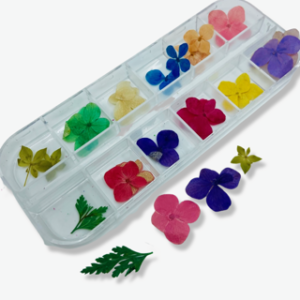 Fleurs séchées (2)