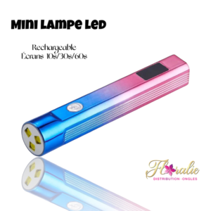 Mini lampe led rechargeable Bleu et rose