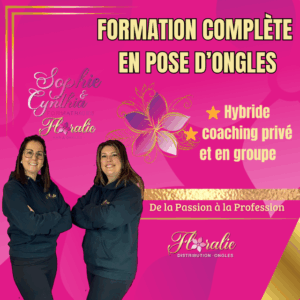 Formation Hybride Complète