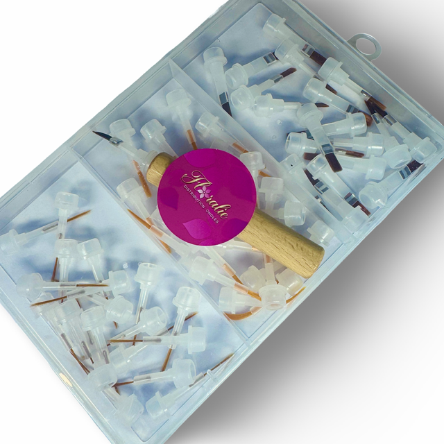 Ensemble de mini pinceaux jetables avec bâton d’insertion – Floralie