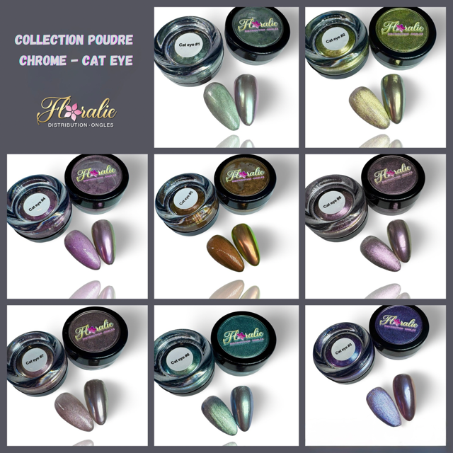 Collection de 8 couleurs Poudre Chrome Cat Eye – Effet Magnétique & Chromé