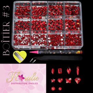 Boitier bijoux #3 (Rubis)