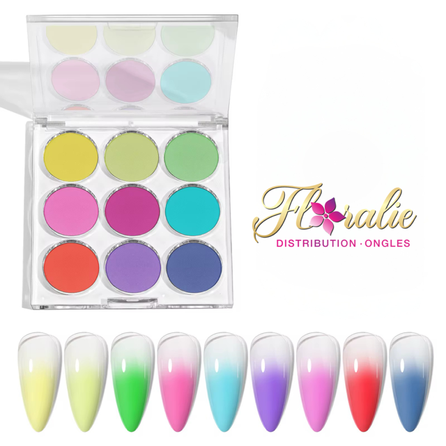 Coffret de pigments pour effet Ombré (1)